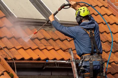 Démoussage et hydrofuge de toiture à Arbusigny